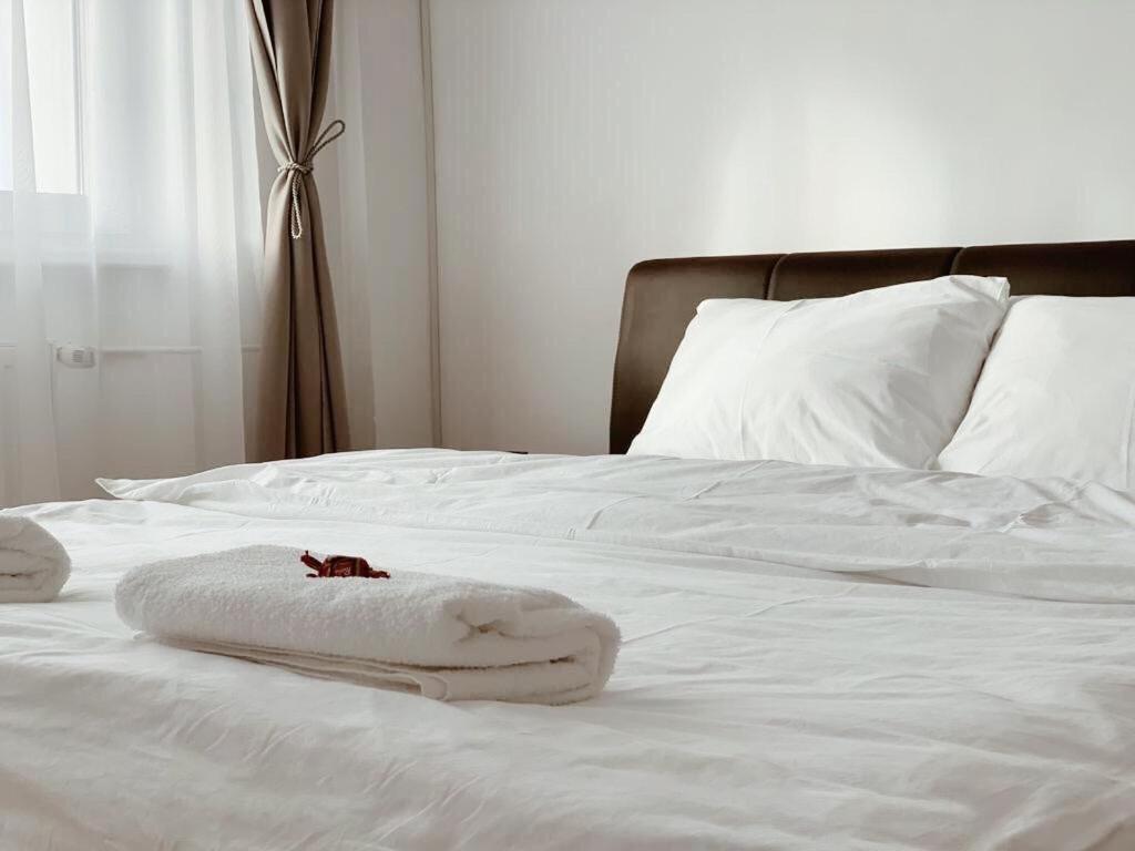 Ultracentral Apt With City Center View - Smart Tv - Ac Тимишоара Экстерьер фото